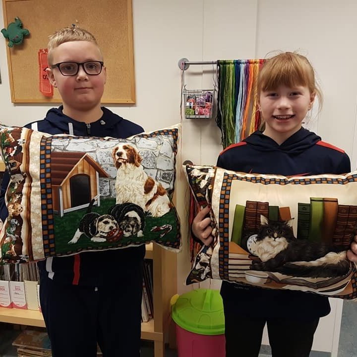 53676901_556032641549669_124738782422368256_n