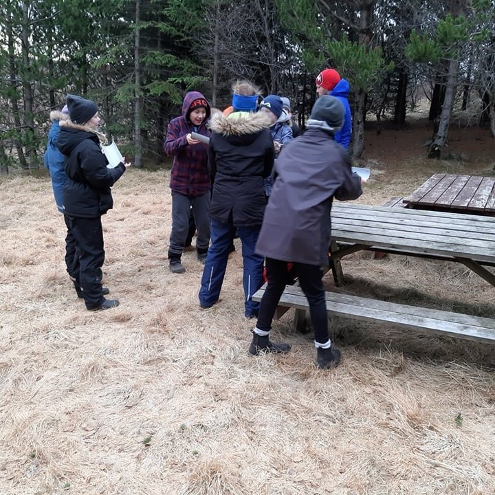 55503428_2200562026860139_8092823266000896000_n