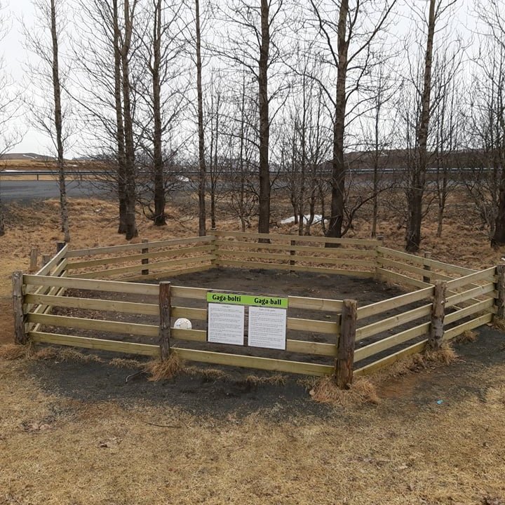 55630457_1286795174811335_4601995511350689792_n