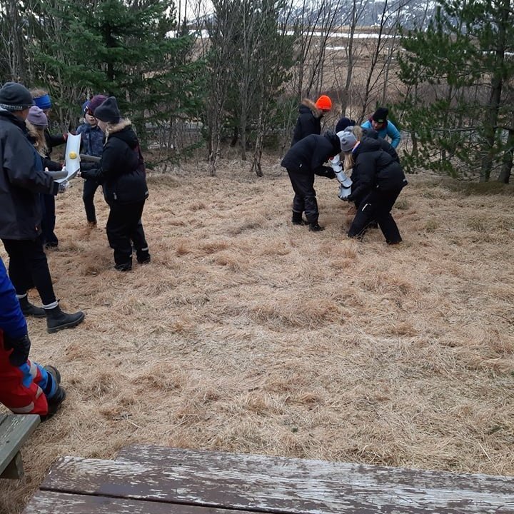 55644624_585409048604574_4986798643764789248_n