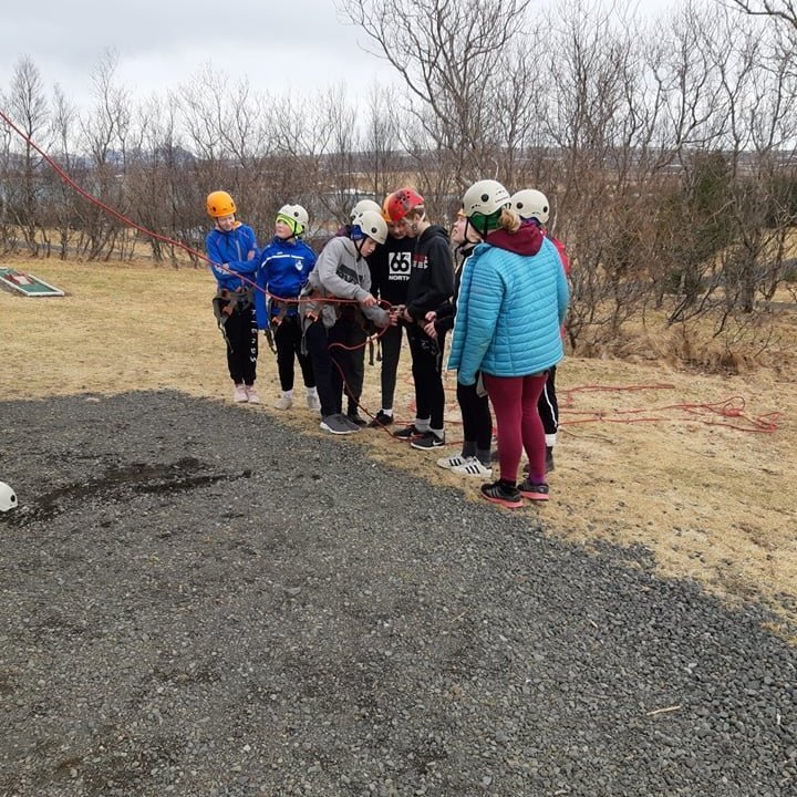 56393165_276150249946037_5743290848724910080_n