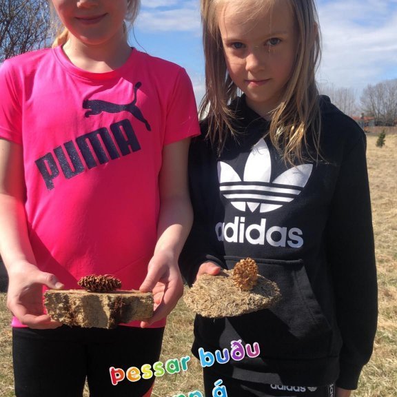 188104084_521901265605969_525198756143601218_n