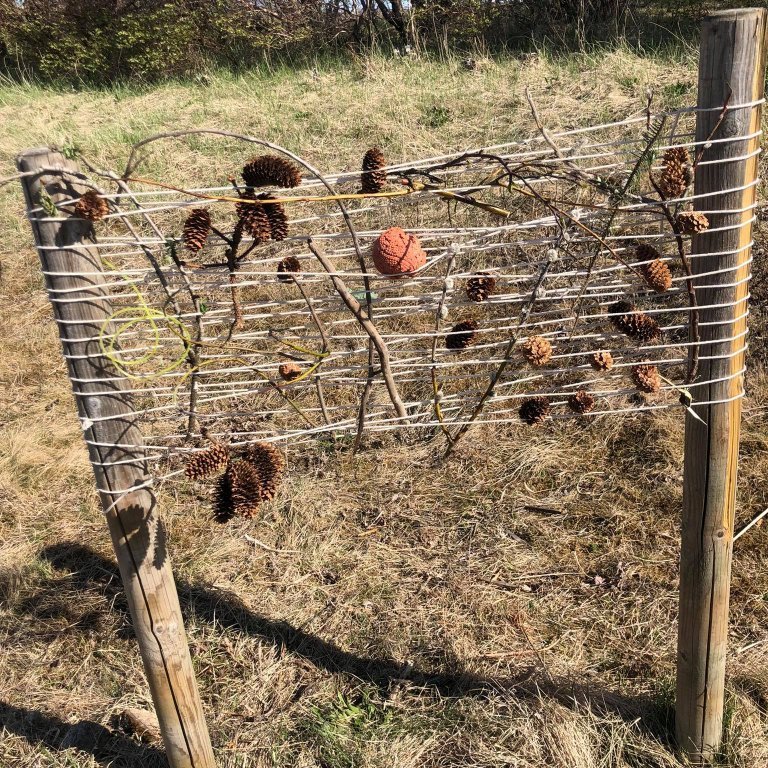 191721001_307464061031485_397334607815969021_n