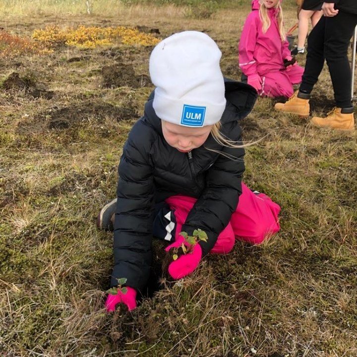 69662346_461360031380386_5986697966923022336_n