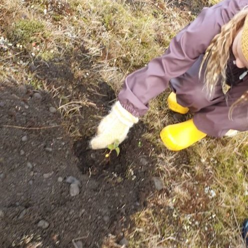 70107469_380764459486903_6240211667154632704_n