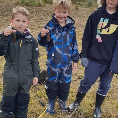 70136707_383238962349466_9074319234116354048_n