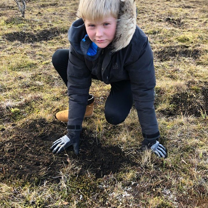 70383440_434969883796160_3333200629525905408_n