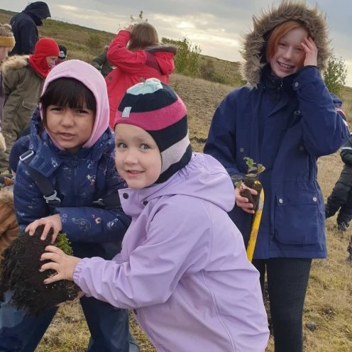 70503841_1387110651441041_768863841076379648_n