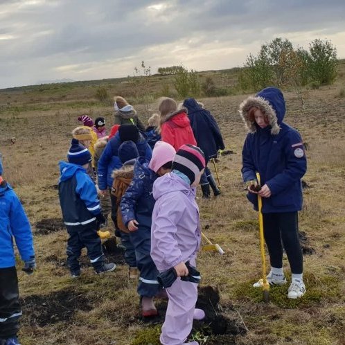 70512298_380412592625659_4238967699918553088_n