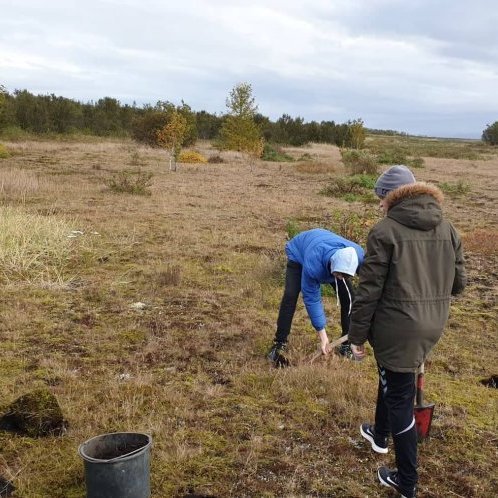 70770811_946054009071859_2403875105168949248_n