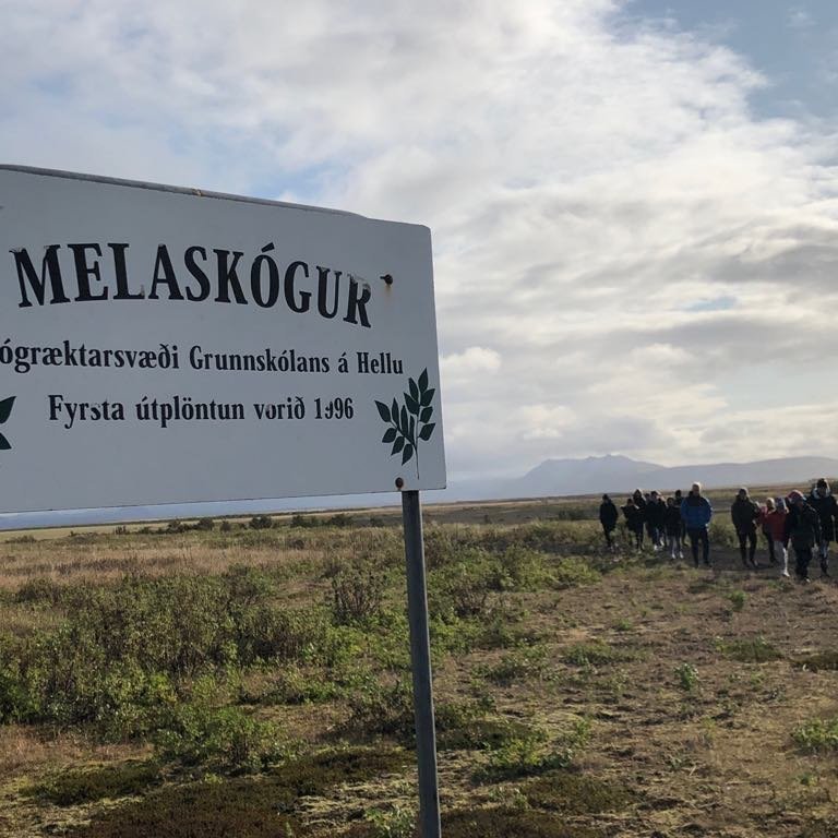 70874175_764689850627702_5053081856136708096_n