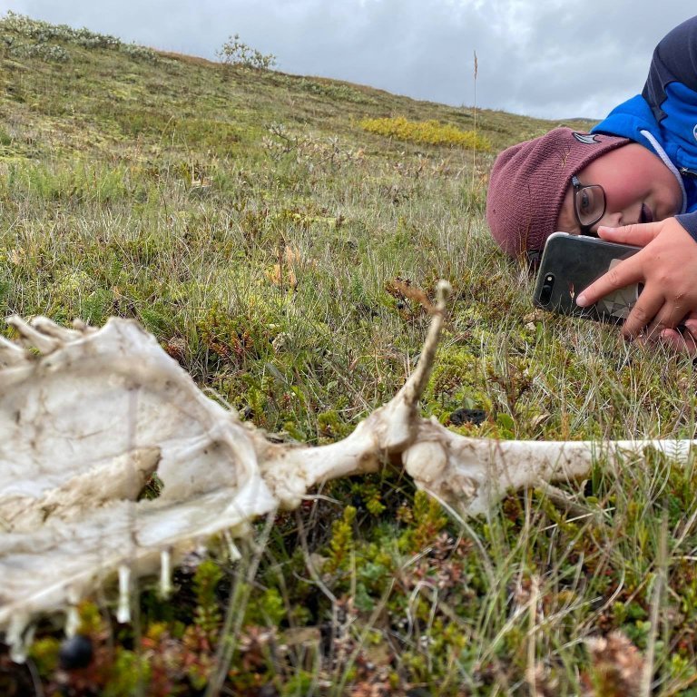 119852326_850185935512931_1410522218102153233_n