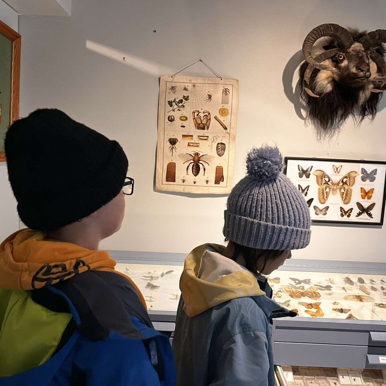 461311147_1073045384367974_2492155229782507161_n