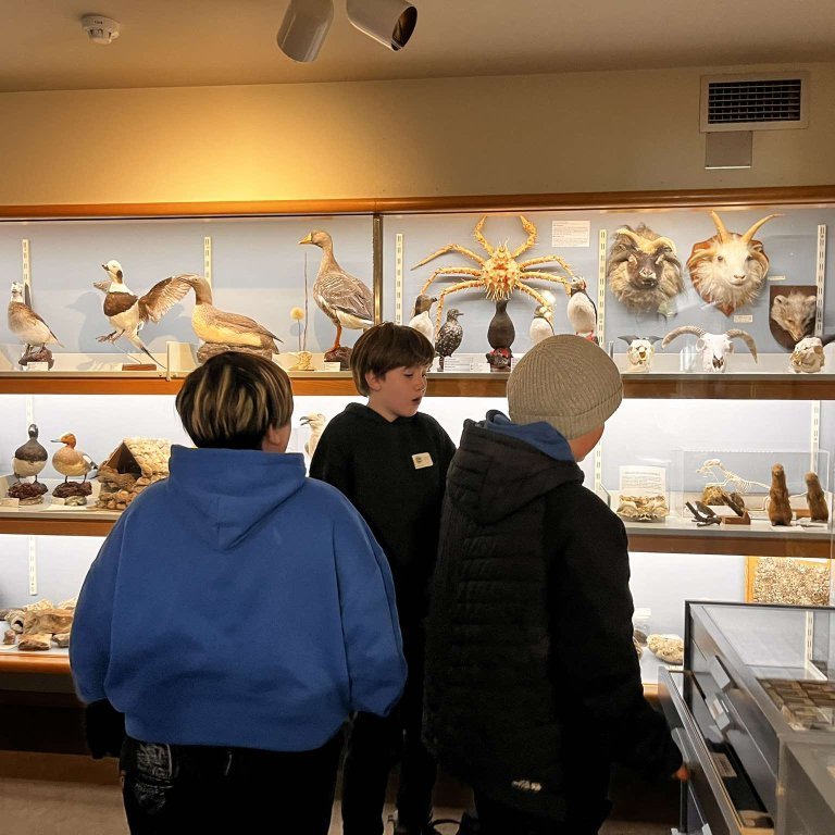 461599324_1058346459128204_1330115854786160271_n