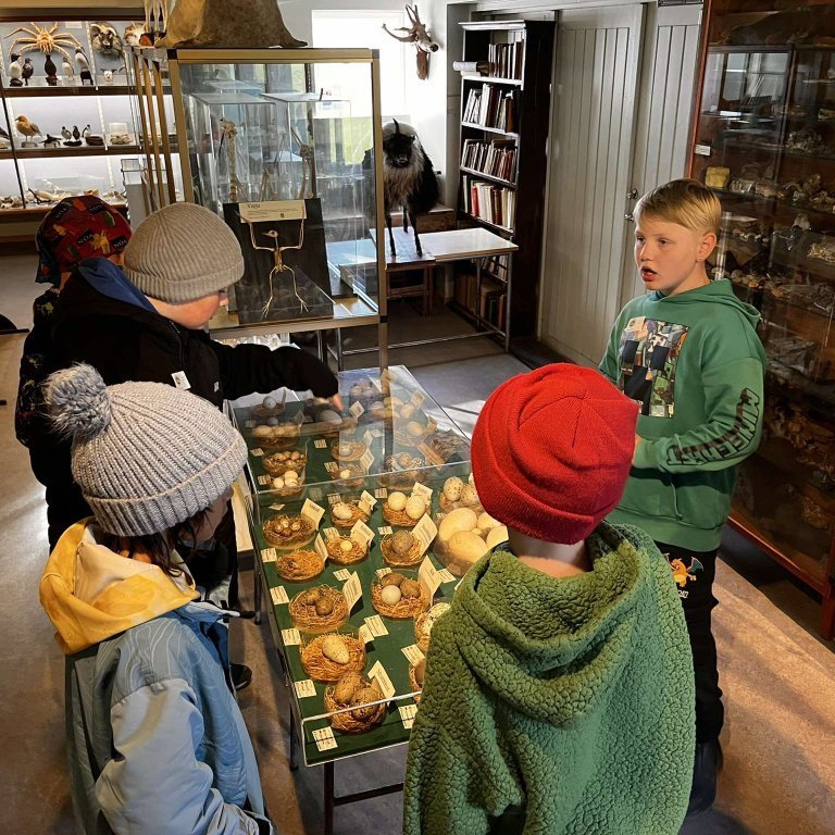 461605330_419224671211157_2430380410603229250_n