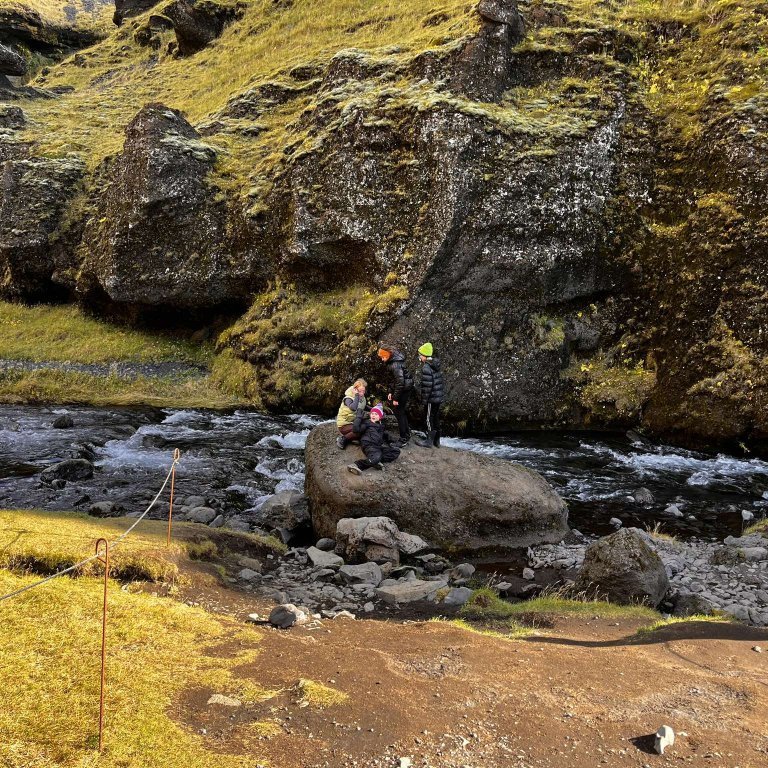 461609381_1003933848203363_7176674309873141961_n