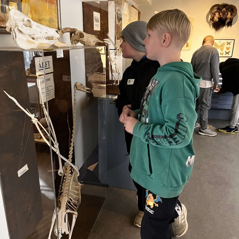 461707646_852225147103393_1065533468240582131_n