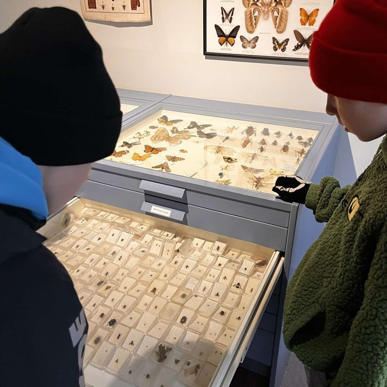 461708638_467441242978827_5954525760691456341_n