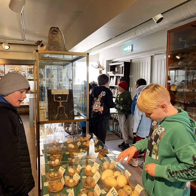 461715475_349410558185266_8094630518035133664_n