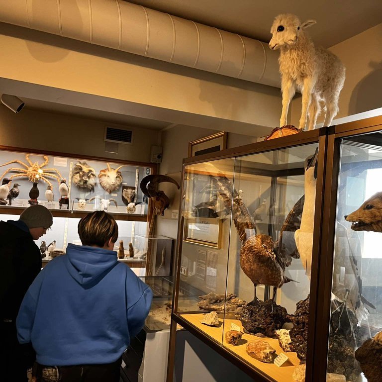 461718069_1709778526228513_1475039894862341828_n