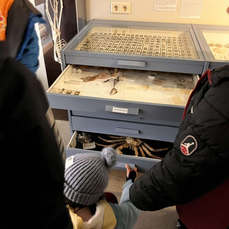 461875015_1195368455079183_1812494919359436399_n