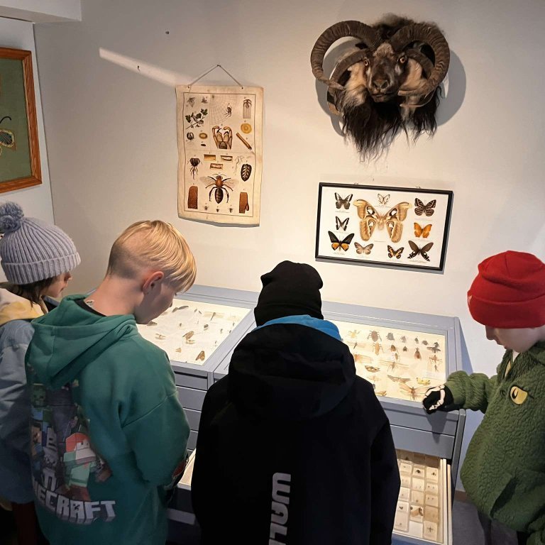 461989937_3835797056709355_7558152565969442871_n