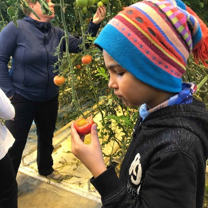 72743085_2439068579685233_6978182852147937280_n