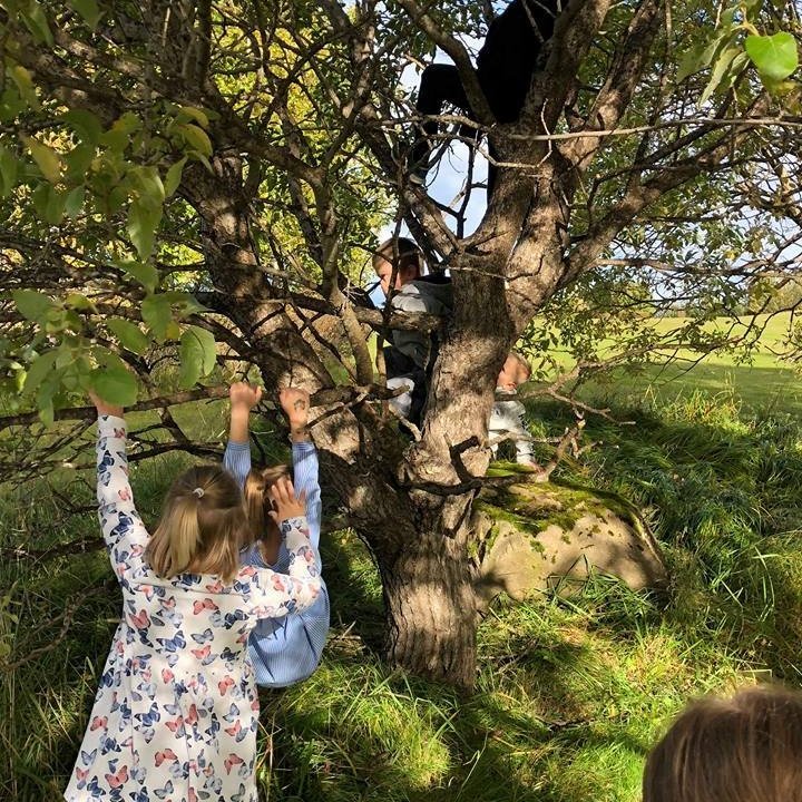 42412615_360340304507409_3680051554011840512_n