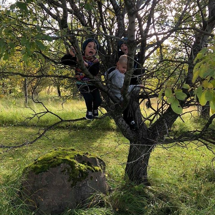 42416667_335848243626496_1460994522291896320_n