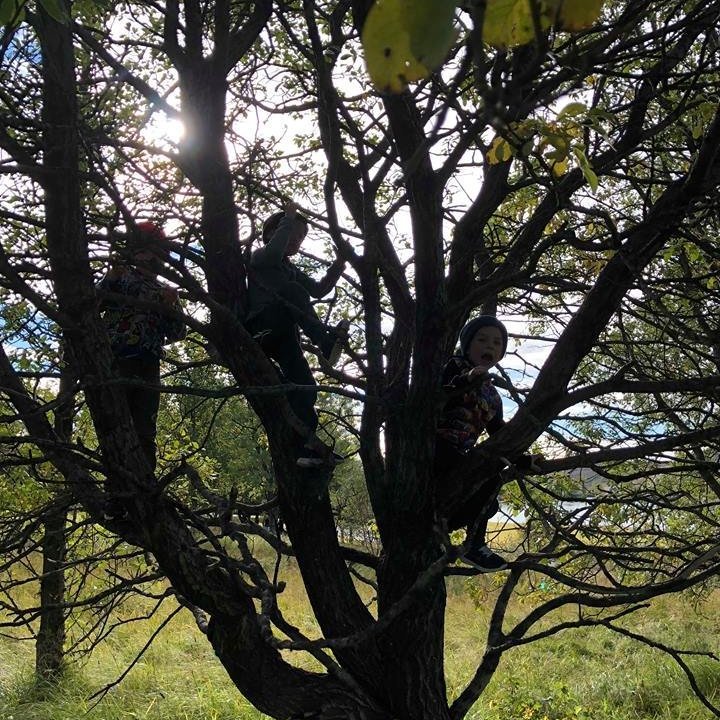 42427591_272045683636958_7007398366451597312_n