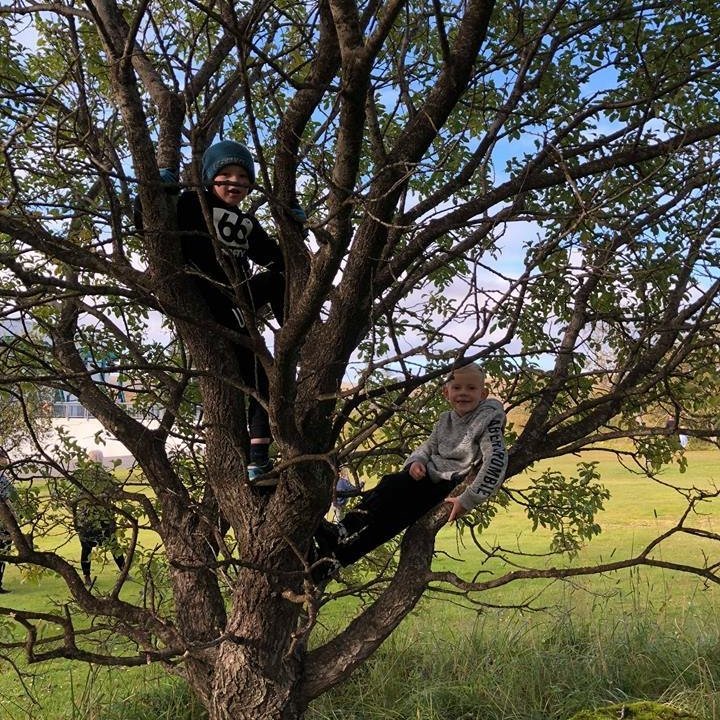 42447777_477827626029724_4865967706056163328_n