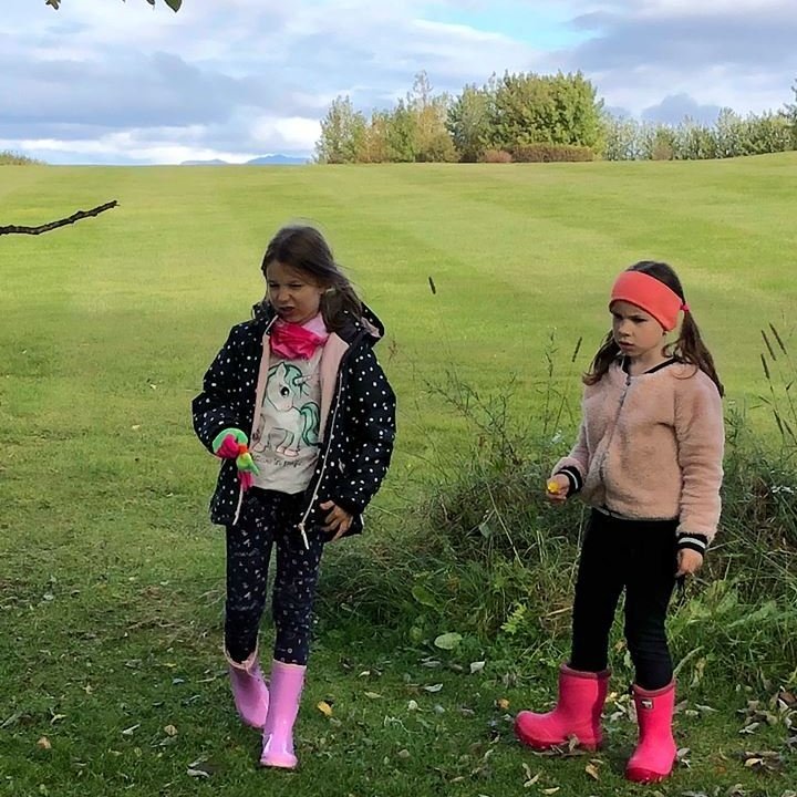 42464993_491223381398886_652337809218076672_n