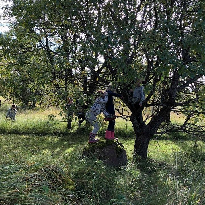 42479333_2099665536734212_6411041203919257600_n