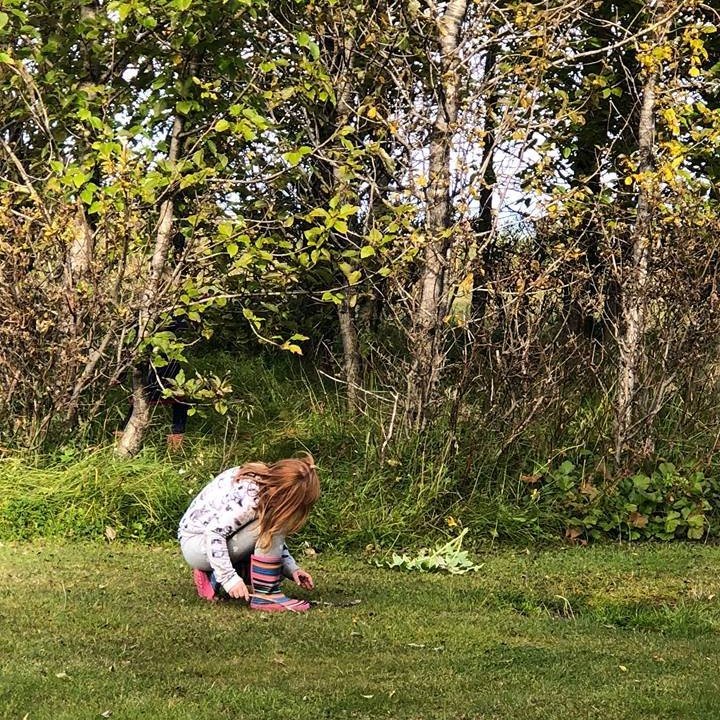 42495047_542430769543298_8546306404401545216_n