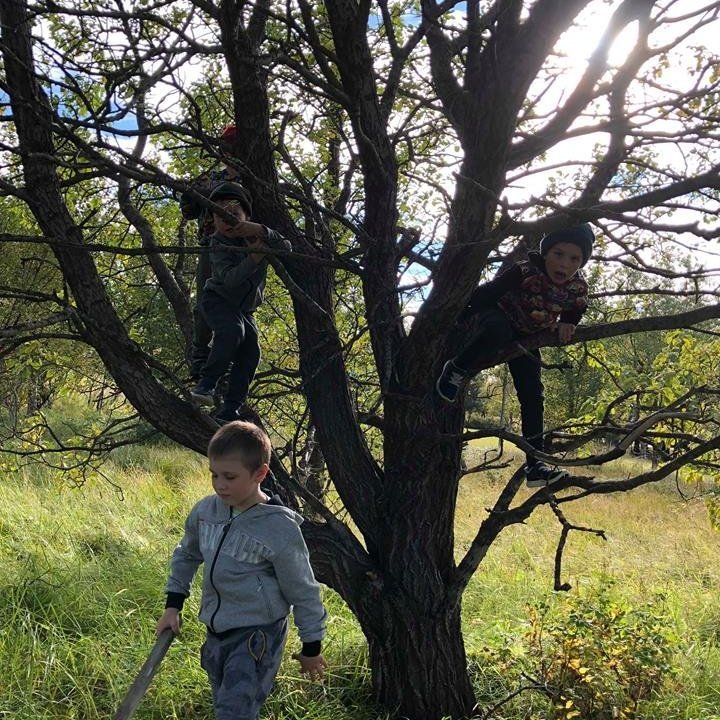 42498158_251456845442578_3574876339032817664_n