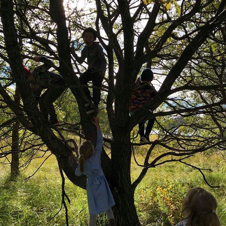 42512657_736381913369248_752595458441871360_n