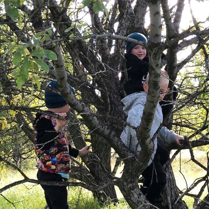 42533432_306000359983432_528569955692576768_n