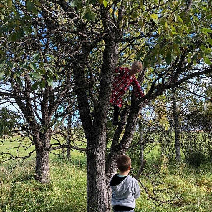 42549774_300858004045915_247686550597402624_n