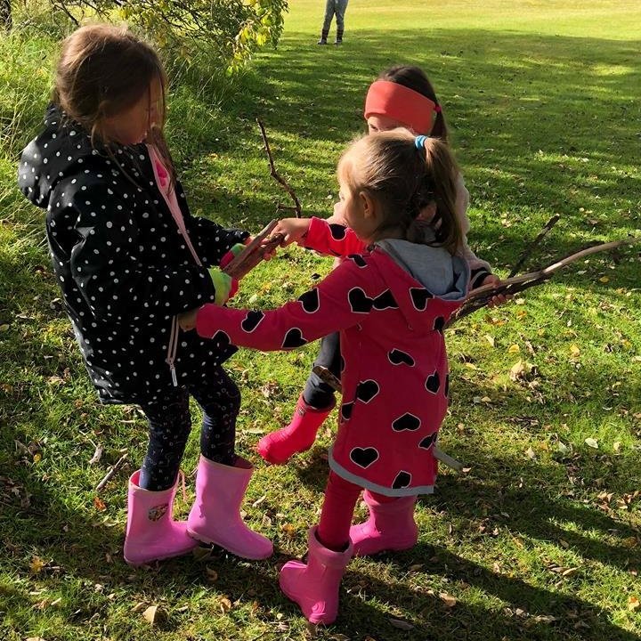 42586811_275326116636470_4351320977775263744_n