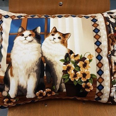 75429602_550377962199001_6428134344828649472_n