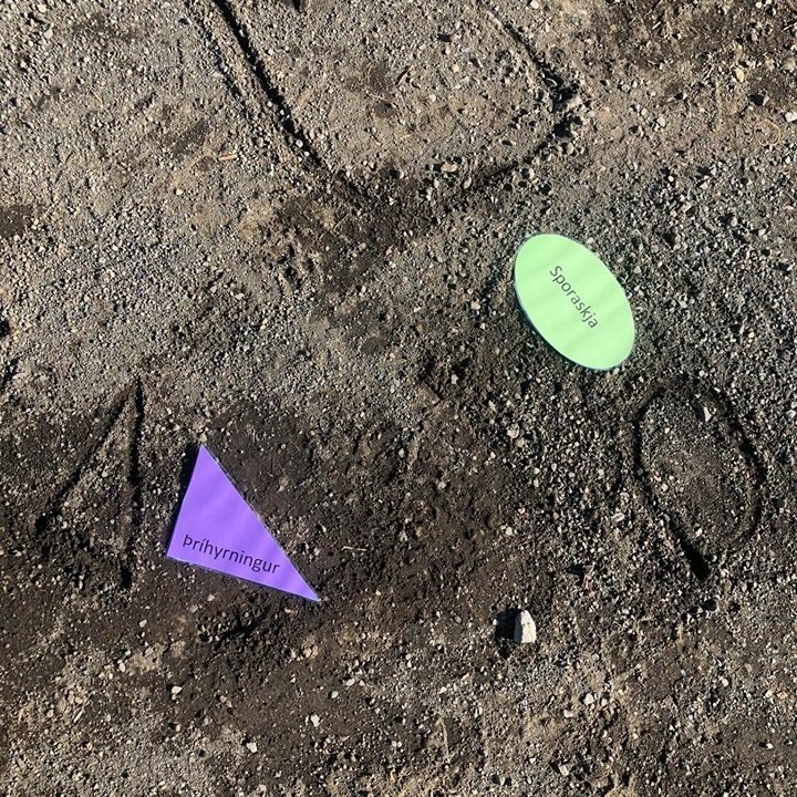 94779307_695417794568696_2749639540367949824_n