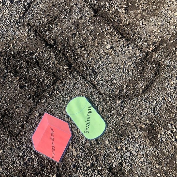 94995659_666100560601029_1174506695976550400_n