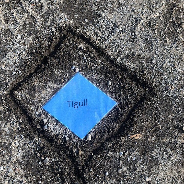 95137197_243196180371788_731442473926131712_n