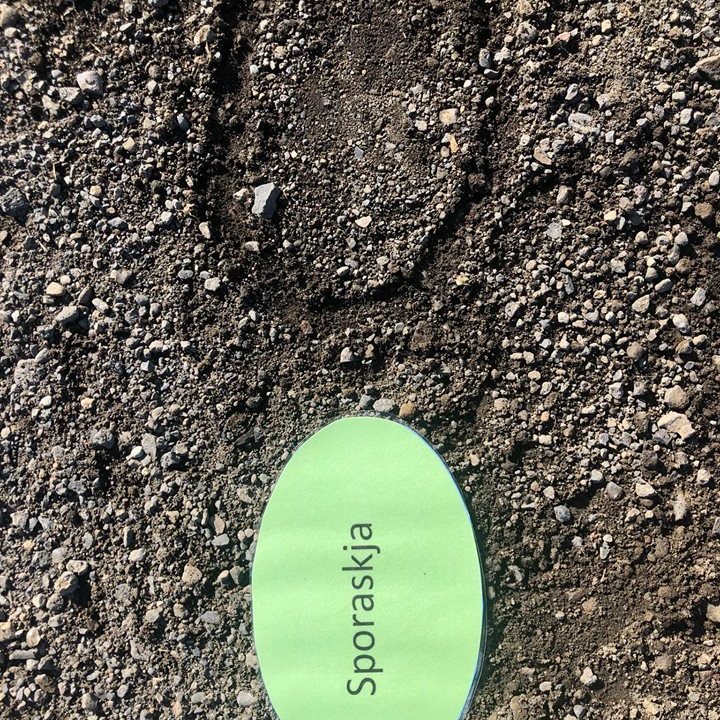 95139432_879988952413363_5167728242802556928_n