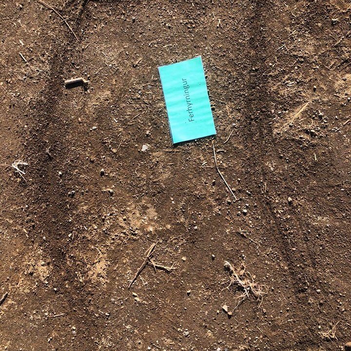 95223488_236328770805316_2515482544774840320_n