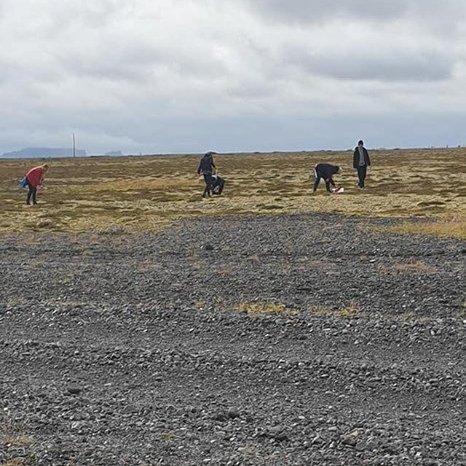 69509124_665878260565106_1685894458907820032_n