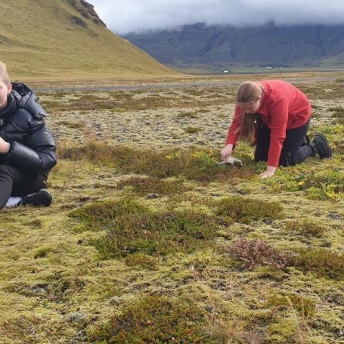 69798270_665878307231768_6372648297986785280_o