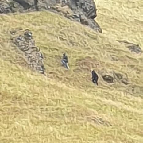 69886440_665878223898443_1203376482592751616_n