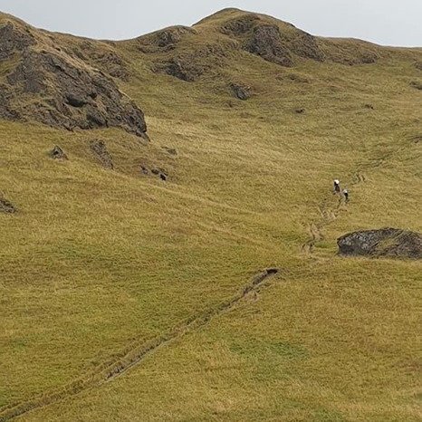 70115707_665878173898448_4330772243618463744_n