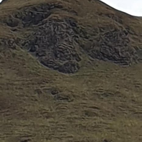 70245266_665878403898425_7927508261085904896_n